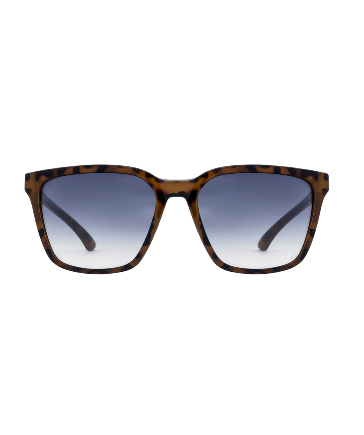 Buy Burberry Sunglasses For Men (CS648)